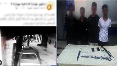 الداخلية تضبط 4 متهمين بالإتجار في المخدرات والبلطجة بالبساتين