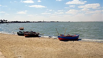 إطلاق مليون يرقة جمبري في بحيرة قارون ضمن مشروع دعم الثروة السمكية