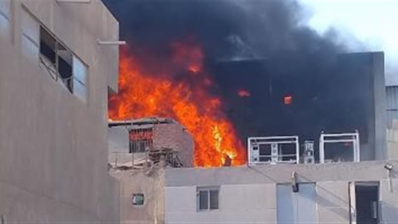 صورة أرشيفية
