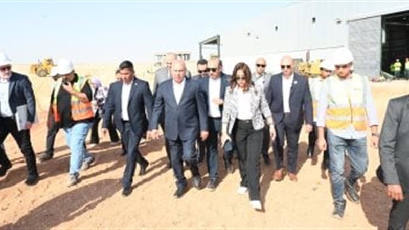 نائب رئيس مجلس الوزراء