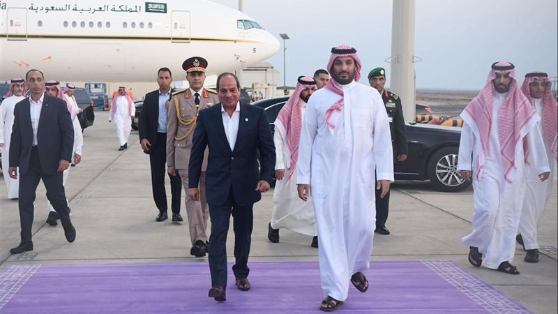 الرئيس السيسي والامير