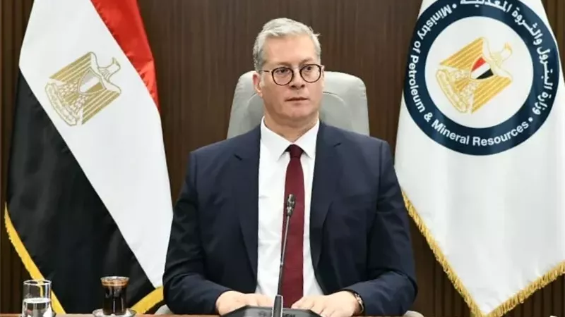 المهندس كريم بدوي