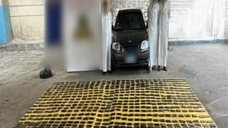 مضبوطات