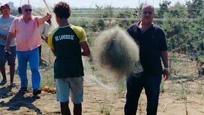 نجاح وزارة البيئة في  إزالة شباك صيد الطيور المهاجرة بشمال محمية البرلس