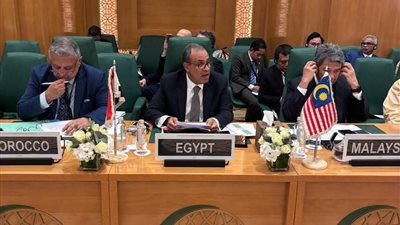 مصر تدين العدوان الإسرائيلي على غزة وتؤكد دعمها الكامل للفلسطينيين