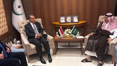 مصر والسعودية تؤكدان تعزيز الشراكة الاستراتيجية وتنسيق المواقف الإقليمية