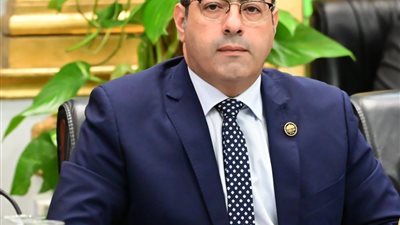 اتحاد شباب المصريين بالخارج يتضامن مع 