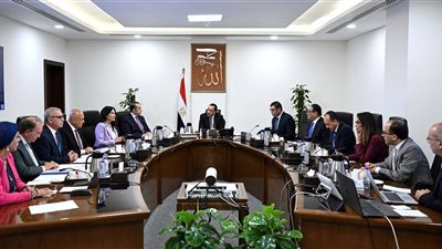 مدبولي يستعرض مشروعات الكهرباء بالمدن الجديدة بمشاركة القطاع الخاص