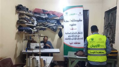 تضامن المنيا تسلم 17 مشروع تمكين اقتصادي للأسر الأولى بالرعاية