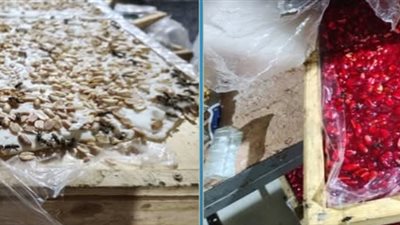 ضبط 8 أطنان حلوى مولد مجهولة داخل مصنع غير مرخص بالمنوفية