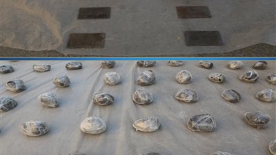 سقوط تشكيل عصابي بحوزته مخدرات بقيمة 290 مليون جنيه في رأس سدر