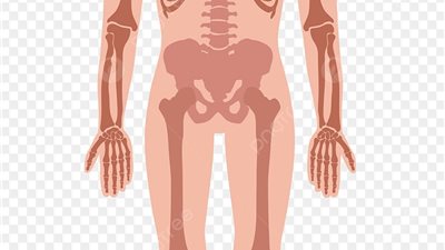 التبرع بالأعضاء بعد الموت صدقة جارية أم انتهاك لحرمة الميت؟.. الإفتاء تحسم الجدل