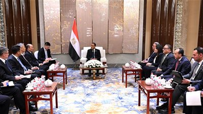 رئيس وزراء مصر يلتقي رئيس CNCEC الصينية لبحث توسعات في البتروكيماويات