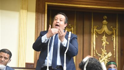 عبد الغني: قمة شرم الشيخ ترسخ دور مصر كقلب نابض للعروبة