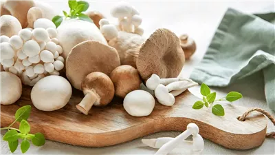المشروم.. غذاء يقوي المناعة ويحمي الدماغ من الزهايمر