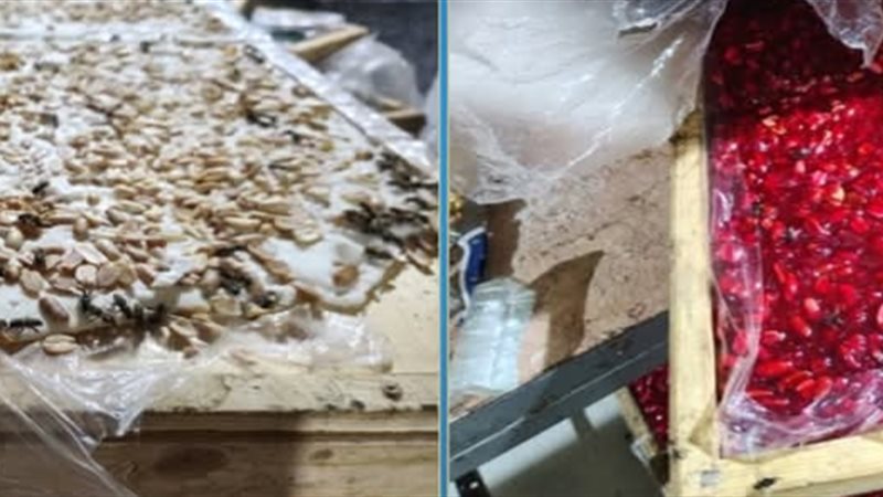ضبط مصنع حلويات في