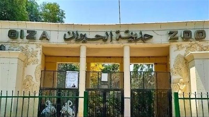 حديقة الحيوان بالجيزة