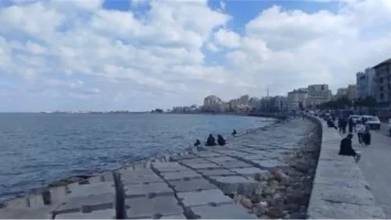 أرشيفية