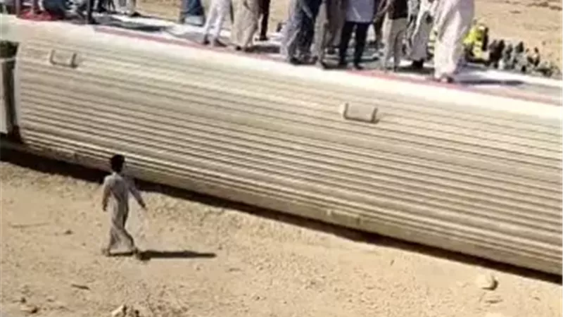 تفصيلة