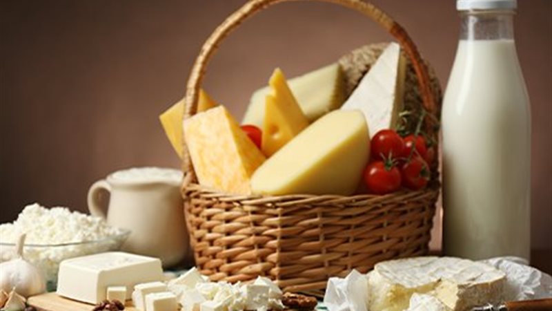 الحليب ومنتجات الألبان