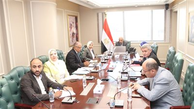 وزير الكهرباء يستعرض مستجدات مشروعات الطاقات المتجددة ضمن الاستراتيجية الوطنية للطاقة