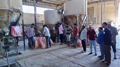 لضبط سوق الأعلاف.. وزير الزراعة يوجه بتكثيف الحملات على المخازن والأسواق وملاحقة المحتكرين