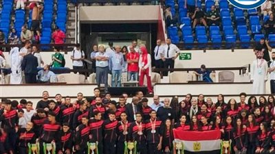 وزير الرياضة يهنئ أبطال مصر بعد حصد لقب البطولة العربية للألعاب المائية