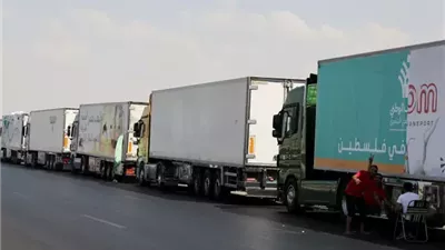 وزير الخارجية: مصر تواصل جهودها لإدخال المساعدات لغزة وتتمسك بوقف إطلاق النار