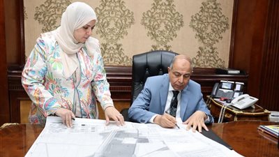 اعتماد المخطط التفصيلي لمدينة ملوي بالمنيا