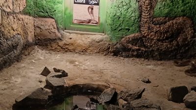 كهف أفريكانو.. مغامرة سياحية فريدة في قلب الإسكندرية