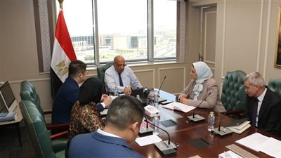 تعاون مصري – صيني لتوطين صناعة الخلايا الشمسية