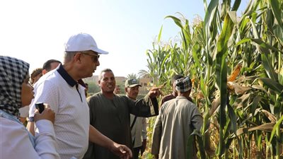 محافظ المنيا يشارك فلاحي سمالوط احتفالات عيد الفلاح والحصاد