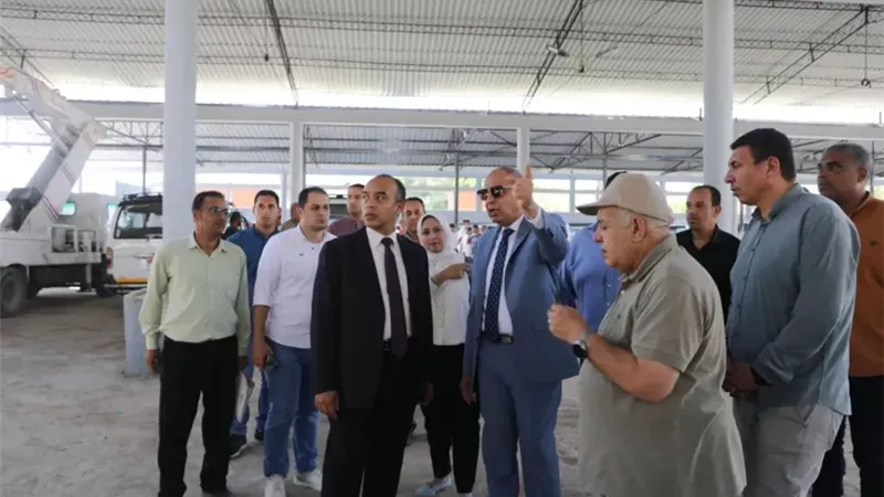 محافظ المنيا