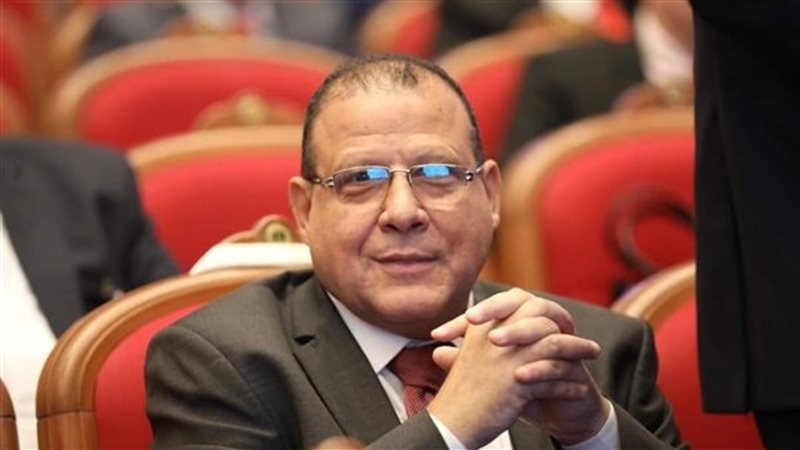 مجدي البدوي، نائب