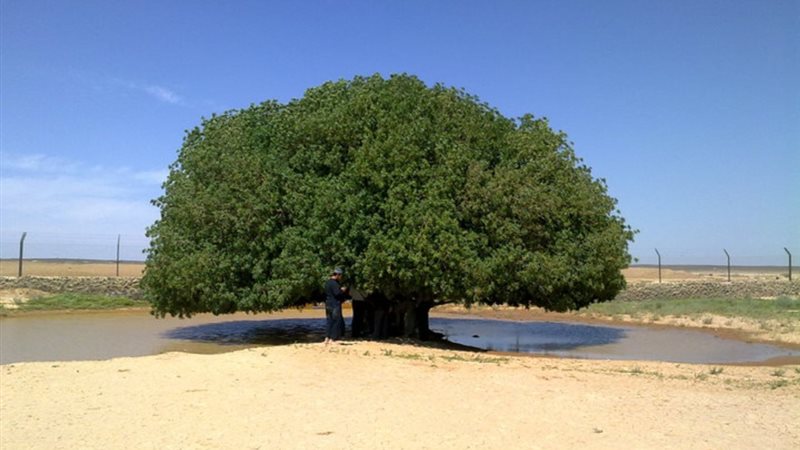 صورة تعبيرية