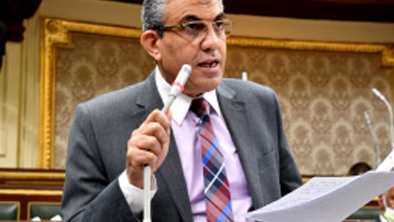 النائب عادل عبد الفضيل