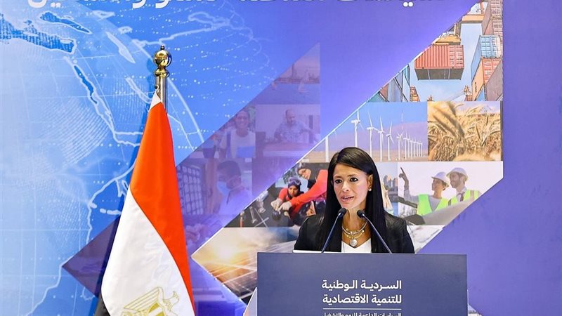 وزيرة التخطيط