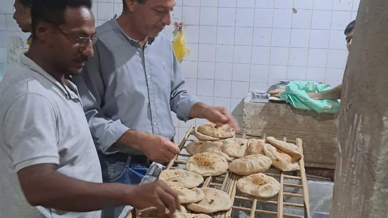 تموين المنيا