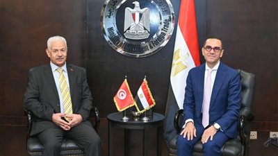 الاستثمار: توسعات تونسية بمصر وتعاون أفريقي مشترك
