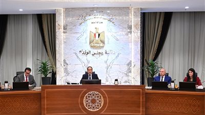 رئيس الوزراء: الدين الخارجي لمصر تحت السيطرة 