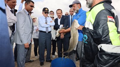 الفريق أسامة ربيع: بدء حصاد أسماك البلطي والعائلة البورية خلال الشهر القادم