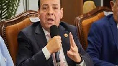 حزب حماة الوطن: مصر داعمة لقطر ومواقفها التاريخية تجسد وحدة الصف العربي