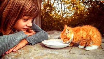 فقه الرفق بالحيوان.. صدام أم تكامل مع المواثيق الوضعية؟