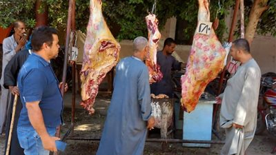 تموين المنيا: ضبط 99 مخالفة خلال حملات رقابية على المخابز والأسواق