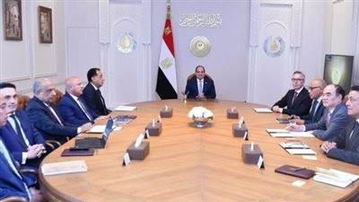 السيسي يبحث فرص التعاون الثلاثي مع شركتي سكاتك النرويجية وصنجرو الصينية