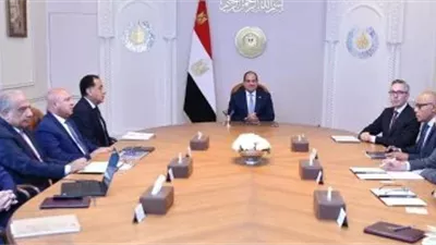 الرئيس السيسي يؤكد أهمية التعاون مع 