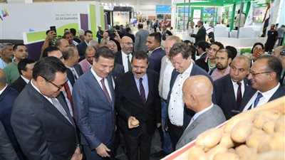 تعزيز نفاذ المنتجات المصرية للأسواق العالمية.. خطة 