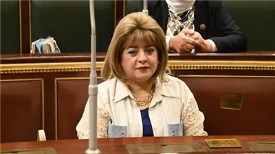  النائبة هناء أنيس: مصر تظل الركيزة الأساسية لأي تحرك عربي جماعي بشأن القضية الفلسطينية