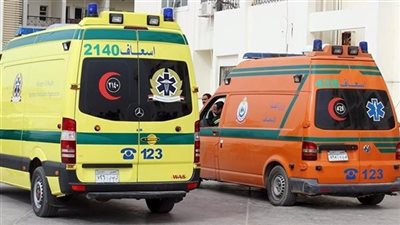 إصابة طبيب و4 من أسرته في انقلاب سيارة بطريق رأس غارب – المنيا