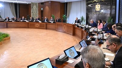 رئيس الوزراء :هناك عدد من الإشاعات هدفها التشكيك فى كل ما يحدث داخل البلد